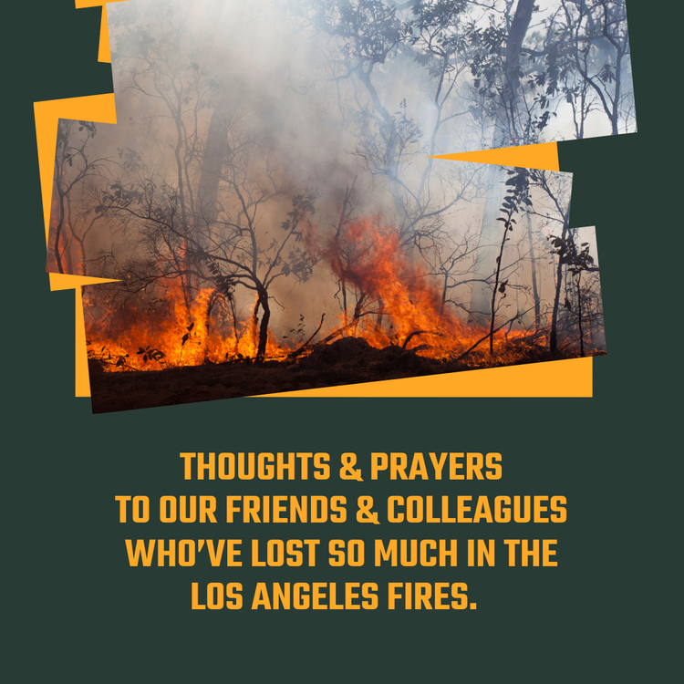 L.A. Fires Update (Paid Subscription)